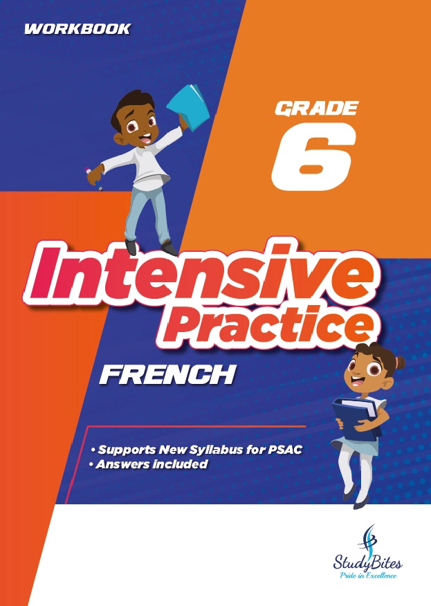 Intensive Practice - French - Grade 6 (StudyBites)